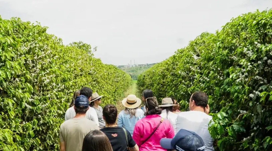 Las rutas del café más atractivas del mundo