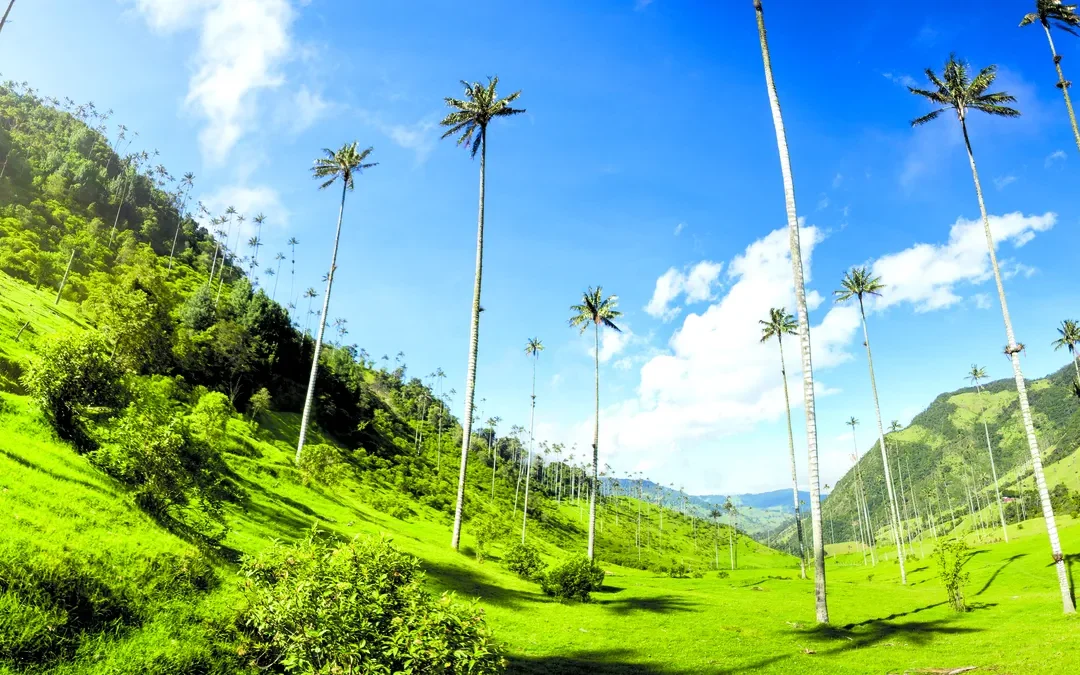 Las rutas del café más atractivas del mundo