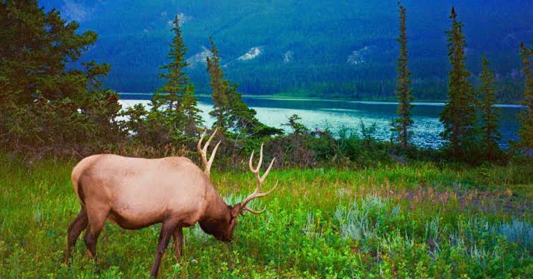 Los paisajes naturales que conquistaron a Hollywood