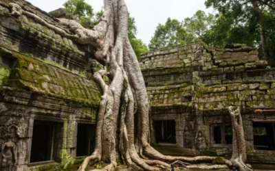Los lugares donde la naturaleza recuperó antiguas ciudades abandonadas