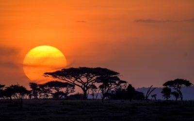 Los atardeceres más espectaculares del mundo y qué los hace únicos