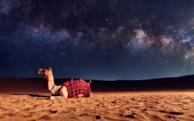 Recorrer un desierto bajo la luz de la luna: la experiencia que gana cada vez más adeptos