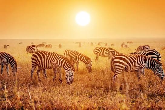Los atardeceres más espectaculares del mundo y qué los hace únicos