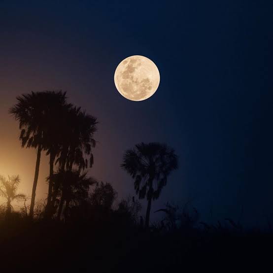 Turismo nocturno: los lugares de Argentina que se conocen mejor después de que cae el sol